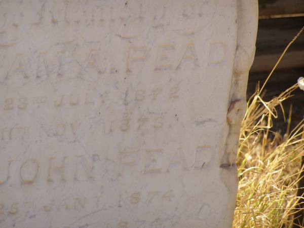 Alexander William PEAD  | d: 5 Jun 1884 aged 39 years and 6 months at Cossack  |   | also 3 children who died in infancy  |   | Alex  | d: 7 Apr 1886, aged 9 years and 7 months at Cossack  |   | William A PEAD  | b: 23 Jul 1872  | d: 11 Nov 1873  | Alexander John PEAD  | b: 25 Jan 1874  | d: 10 May 1874  |   |   | Cossack (European and Japanese cemetery), WA  |   | 