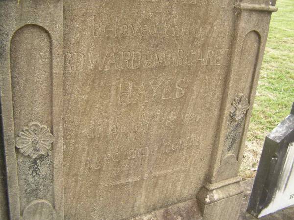 Thomas Henry,  | child of Edward & Margaret HAYES,  | died 28 July 1886 aged 9 months;  | Coulson General Cemetery, Scenic Rim Region  | 