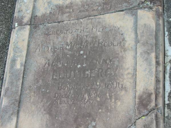 Arthur Michael Robert,  | son of Adolph & Fanny BLUMBERG,  | born 29 May 1896,  | died 6 Feb 1896;  | Adolph BLUMBERG,  | died 6 Sept 1902 aged 42 years,  | erected by wife & children;  | Coulson General Cemetery, Scenic Rim Region  | 