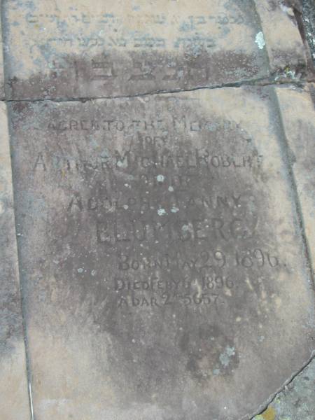 Arthur Michael Robert,  | son of Adolph & Fanny BLUMBERG,  | born 29 May 1896,  | died 6 Feb 1896;  | Adolph BLUMBERG,  | died 6 Sept 1902 aged 42 years,  | erected by wife & children;  | Coulson General Cemetery, Scenic Rim Region  | 