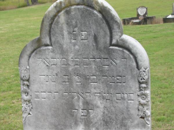 Arthur Michael Robert,  | son of Adolph & Fanny BLUMBERG,  | born 29 May 1896,  | died 6 Feb 1896;  | Adolph BLUMBERG,  | died 6 Sept 1902 aged 42 years,  | erected by wife & children;  | Coulson General Cemetery, Scenic Rim Region  | 