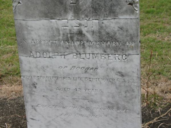 Arthur Michael Robert,  | son of Adolph & Fanny BLUMBERG,  | born 29 May 1896,  | died 6 Feb 1896;  | Adolph BLUMBERG,  | died 6 Sept 1902 aged 42 years,  | erected by wife & children;  | Coulson General Cemetery, Scenic Rim Region  | 