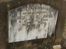 
Margaret E. FARLEY,
died 27 June 1911 aged 44 years;
Coulson General Cemetery, Scenic Rim Region
