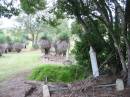 Coulson General Cemetery, Scenic Rim Region 