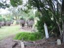 
Coulson General Cemetery, Scenic Rim Region
