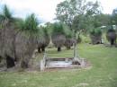 
Coulson General Cemetery, Scenic Rim Region
