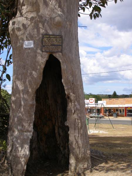 Jimmy-Crow's Nest  | in the early days when teamsters  | visited this area,  Jimmy Crow , an  | aboriginal named by early settlers,  | who used a large hollow tree as his  | gunyah, was relied on for information  | and directions.  | This place was used as a camping place  | by teamsters and travellers  | and became known as  Jimmy Crow's nest   | - hence the name  Crow's Nest .  |   |   | Crows Nest  |   | 