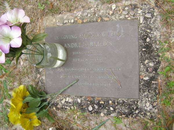 Andrejs BRIEDIS  | b: 21 Apr 1971  | d: 22 Apr 1971  |   | Diddillibah Cemetery, Maroochy Shire  |   | 