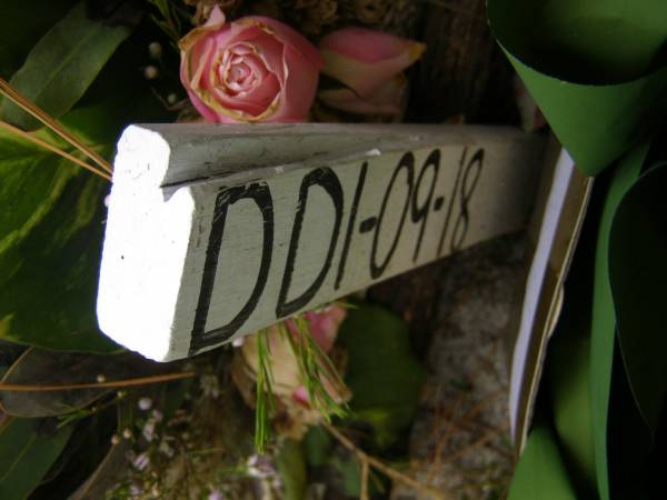 N PEAGRAM  |   | DDI-09-18  |   | Diddillibah Cemetery, Maroochy Shire  |   | 