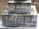 
Carl Friedrich HARTWIG,
born 30 Sept 1860,
died 31 Oct 1906 in Douglas;
Elizabeth HARTWIG (nee ROSE),
born 24 Aug 1863,
died 15 July 1938;
Douglas Lutheran cemetery, Crows Nest Shire
