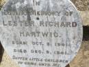 
Lester Richard HARTWIG,
born 8 Oct 1941 died 9 Dec 1941;
Douglas Lutheran cemetery, Crows Nest Shire
