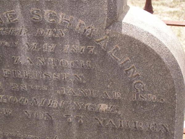 Caroline SCHMALING (nee VOLKMANN),  | born 27 Feb 1862  | died 18 March 1998;  | Caroline SCHMALING,  | born 29 May 1817 Zantoch Prussia,  | died 28 Jan 1893? Goombungee aged 77 years;  | Douglas Lutheran cemetery, Crows Nest Shire  | 