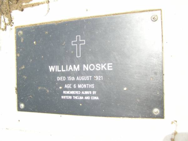 William NOSKE,  | died 15 Aug 1921 aged 6 months,  | remembered by sisters Thelma & Edna;  | Douglas Lutheran cemetery, Crows Nest Shire  | 