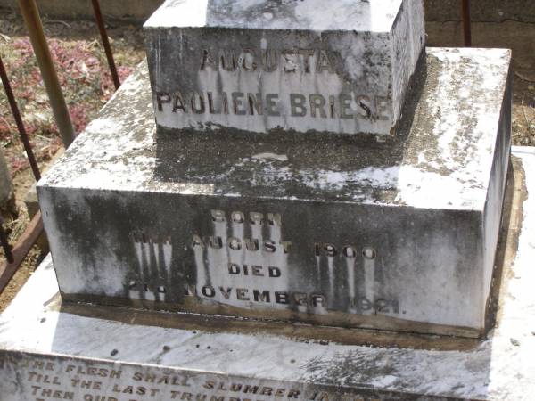 Augusta Pauliene BRIESE,  | born 11 August 1900  | died 2 November 1921,  | erected by father & mother;  | Douglas Lutheran cemetery, Crows Nest Shire  | 
