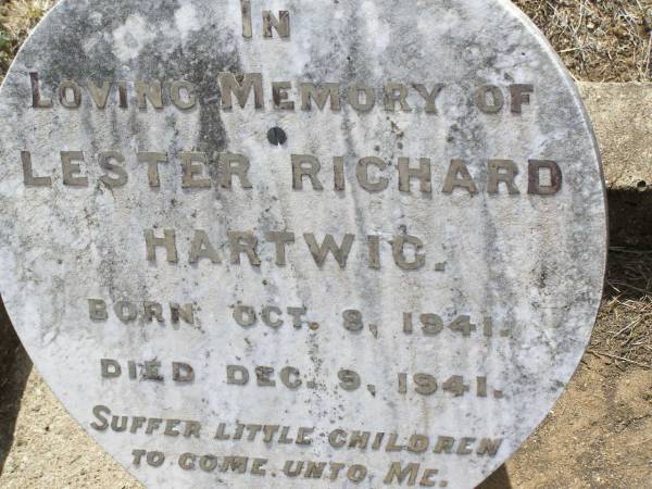 Lester Richard HARTWIG,  | born 8 Oct 1941 died 9 Dec 1941;  | Douglas Lutheran cemetery, Crows Nest Shire  | 