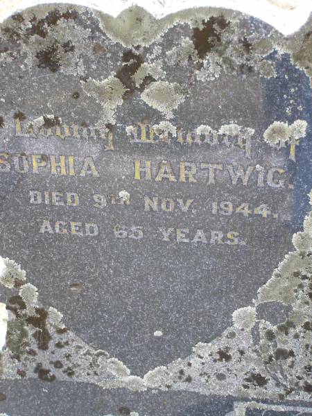 Sophia HARTWIG,  | died 9 Nov 1944 aged 65 years;  | Johannes C.F. HARTWIG,  | died 3 ??? ??? aged 6? years;  | Douglas Lutheran cemetery, Crows Nest Shire  | 