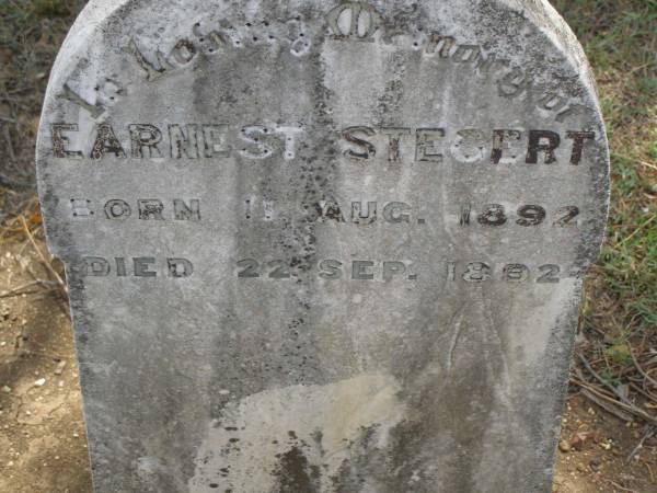 Earnest STEGERT,  | born 11 Aug 1892,  | died 22 Sept 1892;  | Dugandan Trinity Lutheran cemetery, Boonah Shire  | 