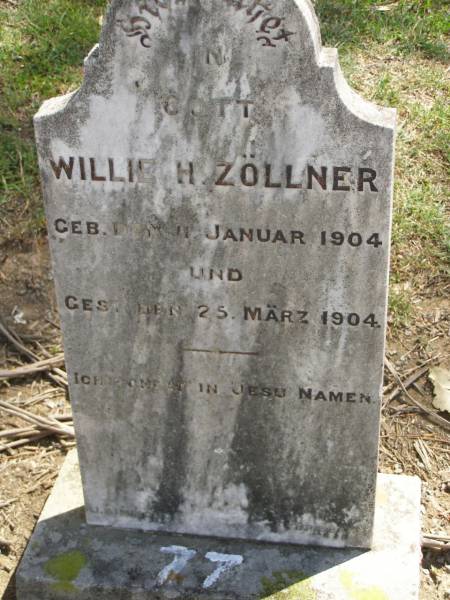 Willie H. ZOLLNER,  | born 11 Jan 1904,  | died 25 March 1904;  | Dugandan Trinity Lutheran cemetery, Boonah Shire  | 