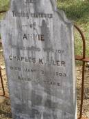 
Annie,
wife of Charles KUBLER,
died 21 Jan 1903 aged 30 years;
Dugandan Trinity Lutheran cemetery, Boonah Shire
