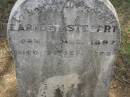 Earnest STEGERT,
born 11 Aug 1892,
died 22 Sept 1892;
Dugandan Trinity Lutheran cemetery, Boonah Shire