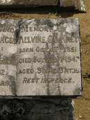 Alvenia Frances KREY,
killed by motorcar 1 April 1932 aged 39 years;
Allvine C.O. KREY,
born 16 Oct 1851,
died 29 July 1943 aged 91 years 9 months;
Dugandan Trinity Lutheran cemetery, Boonah Shire