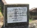 Emily Louisa FREIBERG,
wife mother,
died 20 Oct 1945 aged 48 years;
Dugandan Trinity Lutheran cemetery, Boonah Shire