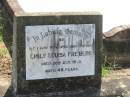 
Emily Louisa FREIBERG,
wife mother,
died 20 Oct 1945 aged 48 years;
Dugandan Trinity Lutheran cemetery, Boonah Shire
