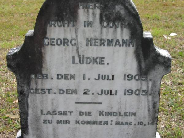 Georg Hermann LUDKE  | geb 1 Jul 1905, gest 2 Jul 1905  | Eagleby Cemetery, Gold Coast City  |   | 