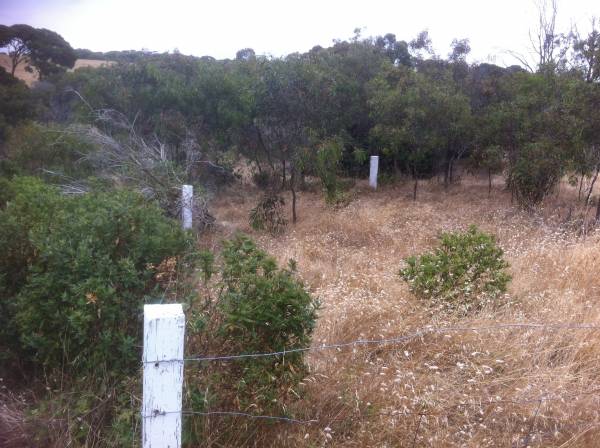 Emu Bay Historic Cemetery  | 