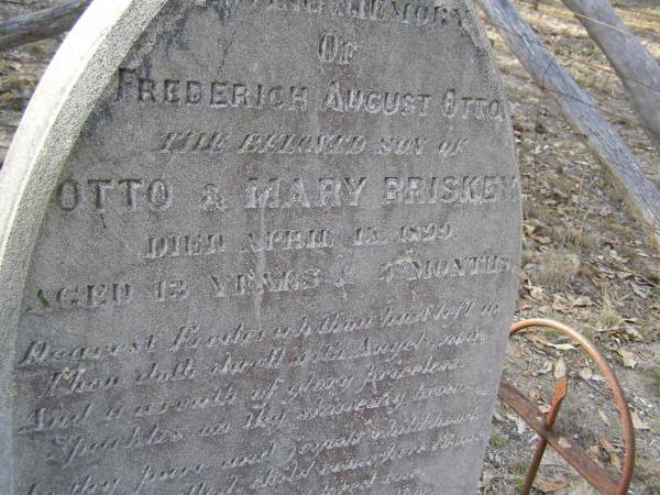 Frederich August Otto,  | son of Otto & Mary BRISKEY,  | died 10? April 1899 aged 13 years 4 months;  | Emu Creek cemetery, Crows Nest Shire  | 