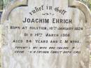 Joachin EHRICH, husband, born Holstein 10 Jan 1824 died 14 Mar 1908 aged 84 years 2 months, farewell wife children; Fernvale General Cemetery, Esk Shire 
