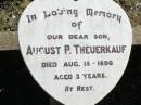 
August P. THEUERKAUF, son,
died 18 Aug 1896 aged 3 years;
Fernvale General Cemetery, Esk Shire
