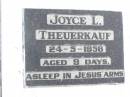 
Joyce L. THEUERKAUF,
died 24-5-1956 aged 9 days;
Fernvale General Cemetery, Esk Shire
