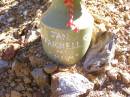 
Jan FARNELL, mum;
Fernvale General Cemetery, Esk Shire
