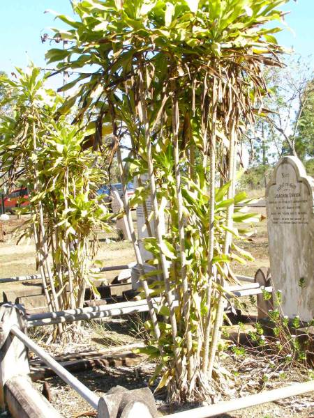 Joachin EHRICH, husband,  | born Holstein 10 Jan 1824  | died 14 Mar 1908 aged 84 years 2 months,  | farewell wife children;  | Fernvale General Cemetery, Esk Shire  | 