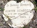Alwyn SCHRODER, died 2 Dec 1929 aged 11? days; Forest Hill Cemetery, Laidley Shire 
