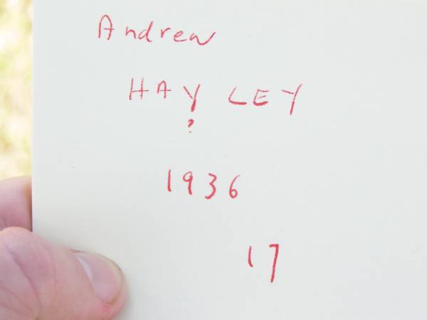 Andrew HAYLEY,  | 1936 ?? 17;  | Forest Hill Cemetery, Laidley Shire  | 