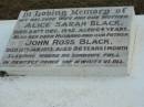 Alice Sarah BLACK
28 Dec 1952
aged 64
husband
John Ross BLACK
12 Jan 1973
aged 86 years 1 month
The Gap Uniting Church, Brisbane