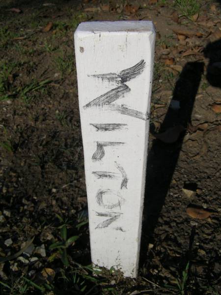 WILTON, HAI-03-15;  | Gheerulla cemetery, Maroochy Shire  | 