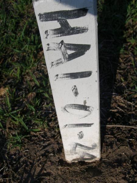 ROWE, HA-01-24;  | Gheerulla cemetery, Maroochy Shire  | 