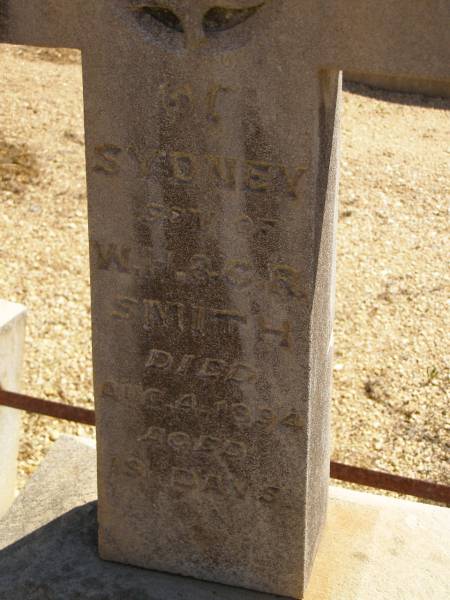 Sydney,  | son of W.H. & C.R. SMITH,  | died 4 Aug 1894 aged 19 days;  | Glencoe Bethlehem Lutheran cemetery, Rosalie Shire  | 