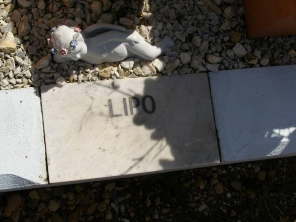 Nicholas James (Lipo) LIPSETT,  | son,  | died 18-12-1988 aged 22 years,  | remembered mum, dad & family;  | Glencoe Bethlehem Lutheran cemetery, Rosalie Shire  | 