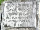 James MOLONEY, of Bromelton, died 30 Sept 1973 aged 90 years; Gleneagle Catholic cemetery, Beaudesert Shire 