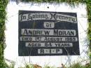 Andrew MORAN, died 1 Aug 1969 aged 84 years; Gleneagle Catholic cemetery, Beaudesert Shire 