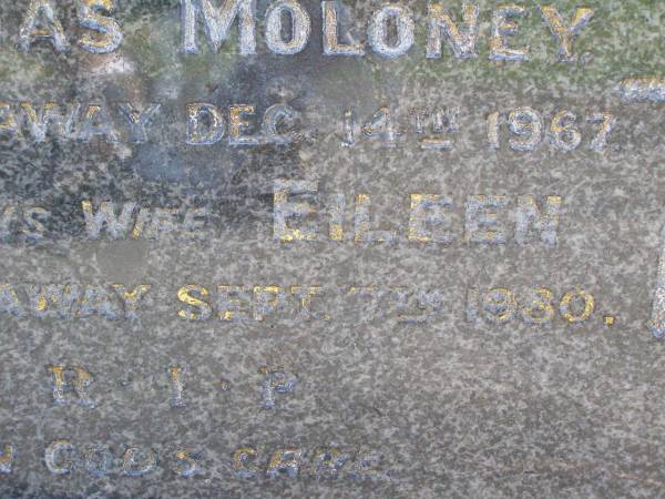 Thomas MOLONEY,  | died 14 Dec 1967;  | Eileen, wife,  | died 7 Sept 1980;  | Gleneagle Catholic cemetery, Beaudesert Shire  | 