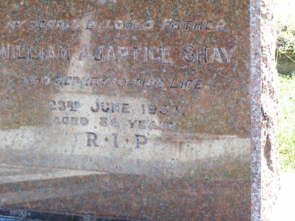 William Ajaptice SHAY, father,  | died 23 June 1953 aged 34 years;  | Gleneagle Catholic cemetery, Beaudesert Shire  | 