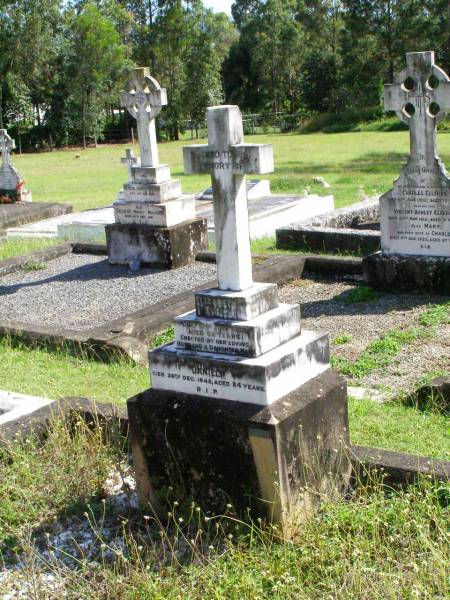 Elizabeth ENRIGHT,  | died 10 July 1937 aged 62 years,  | erected by husband & daughter Mary;  | Daniel, husband,  | died 26 Dec 1942 aged 84 years;  | Gleneagle Catholic cemetery, Beaudesert Shire  | 