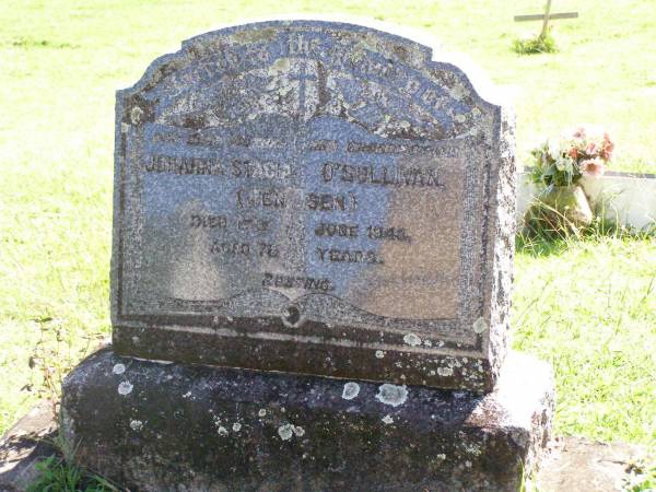 Johanna Stacia O'SULLIVAN (JENSEN),  | mother grandfmother,  | died 17 June 1943 aged 78 years;  | Gleneagle Catholic cemetery, Beaudesert Shire  | 