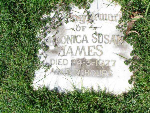 Veronica Susan JAMES,  | died 24-3-1977 aged 7 hours;  | Gleneagle Catholic cemetery, Beaudesert Shire  | 
