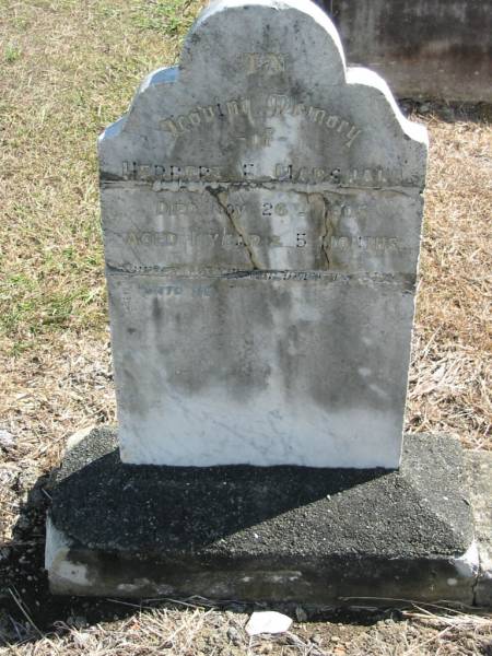 Herbert E MARSHALL  | 26 Nov 1905 aged 1 year 5 months  | God's Acre cemetery, Archerfield, Brisbane  | 